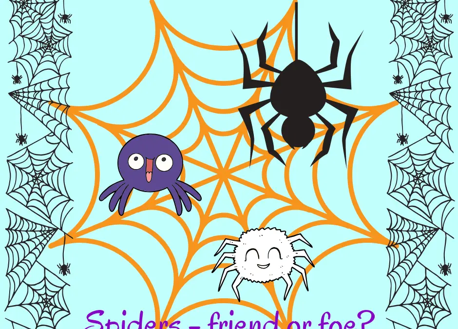Arachnophobia? Spider fears in Dorset?