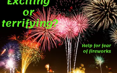 Help for fireworks fear or phobia